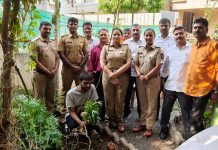 लोहगाव परिसरात गांजाची लागवड उघडकीस, आरोपी अटकेत.