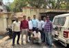 पुणे गुन्हे शाखेची मोठी कारवाई : मोक्का गुन्ह्यातील ८ महिन्यांपासून फरार आरोपी जेरबंद.