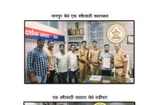 सिंहगड रोड पोलिसांचा सराईत गुन्हेगारांवर दणका!एकावर एमपीडीएअंतर्गत कारवाई; दुसऱ्याला वर्षभरासाठी तडीपार